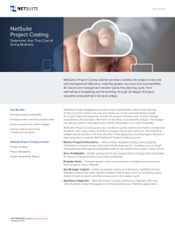 NetSuite Project Costing