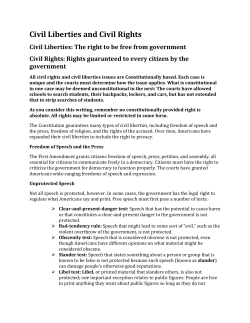 The right to be free from government Civil Rights