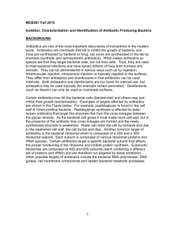 MCB301 Fall 2015 Antibiotic Producing Bacteria