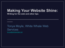 Making Your Website Shine: Writing for the web and other tips