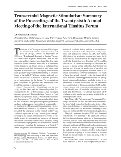 Transcranial Magnetic Stimulation: Summary of the Proceedings of