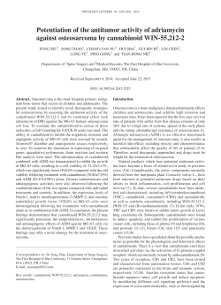 Potentiation of the antitumor activity of adriamycin against