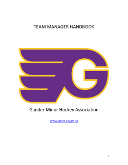 team manager handbook