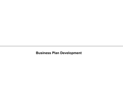 Business Plan Development