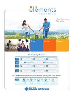 Drug Plan Description - English-March 17.indd