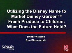 (Jin, et al, 2008) Disney is associated with fun, magic, and