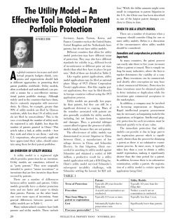 the Utility Model &ndash; An effective tool in Global Patent Portfolio Protection