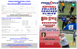 PINNACLE SPORTS SOFTBALL CLINICS With