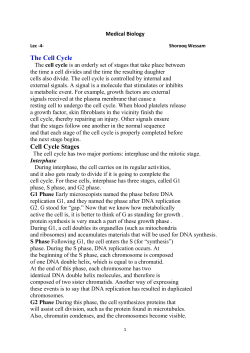 The Cell Cycle