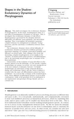 Shapes in the Shadow: Evolutionary Dynamics of Morphogenesis