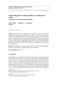Capital allocation in credit portfolios in a multi