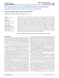 ER network dynamics are differentially controlled by myosins XI