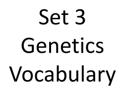 Set 3
