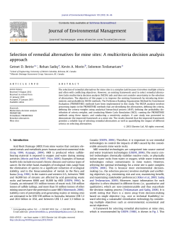 Selection of remedial alternatives for mine sites: A