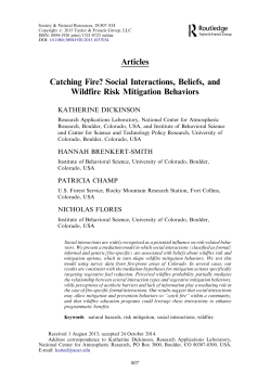 Catching fire? Social interactions, beliefs, and wildfire risk mitigation
