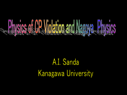 Physics of CP Violation and Nagoya Physics