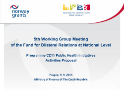 Programme CZ11 Public Health Inititatives PPT