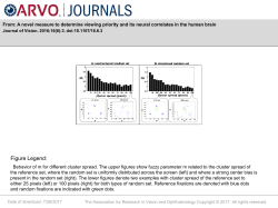 Slide - Journal of Vision