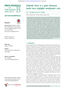 Elaborate horns in a giant rhinoceros beetle incur negligible
