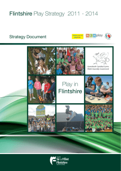 Play Strategy - Flintshire County Council