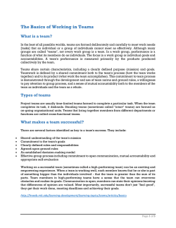 The Basics of Working in Teams