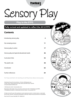 Play in the EYFS Contents - Practical Pre