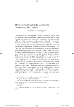 The Marriage Equality Cases and Constitutional Theory