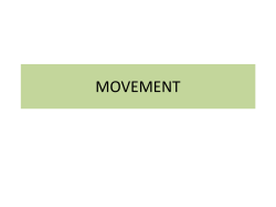movement - english3ciclo