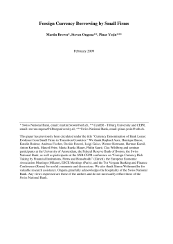 Foreign Currency Borrowing by Small Firms