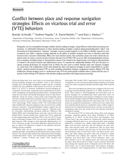 Conflict between place and response navigation strategies: Effects