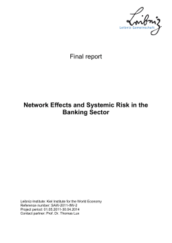 Final report Network Effects and Systemic Risk in the Banking Sector