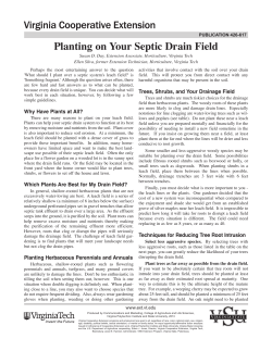 Planting on Your Septic Drain Field