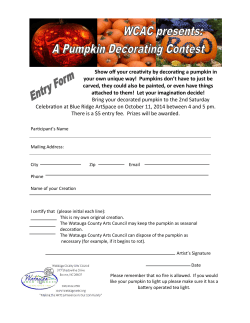 Show off your creativity by decorating a pumpkin in your own unique