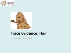 Hair Forensic Science