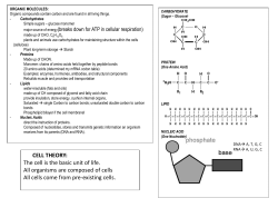 Biology Study Guide in PowerPoint Form
