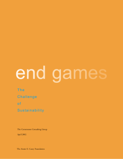The Challenge of Sustainability