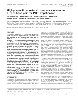 Highly specific unnatural base pair systems as a third base pair for