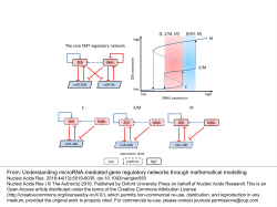 Understanding microRNA-mediated gene regulatory networks