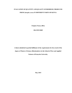 EVALUATION OF QUANTITY AND QUALITY OF BIODIESEL