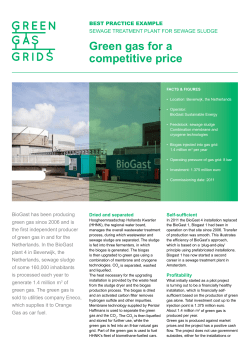 Green gas for a competitive price