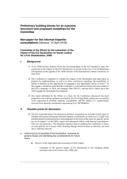 Preliminary building blocks for an outcome document and proposed
