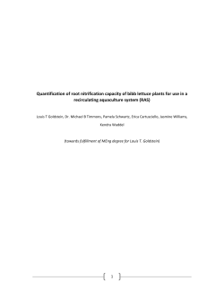 Louis Goldstein - A review of fixed bed gasification systems for