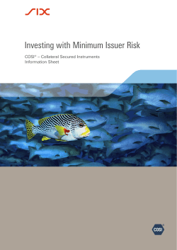 Investing with Minimum Issuer Risk