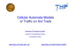 Cellular Automata Models of Traffic on Ant Trails