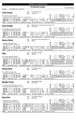 Action Everyday Always Dreaming American Anthem