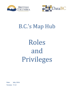 Account Roles and Privs