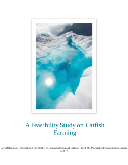 A Feasibility Study on Catfish Farming