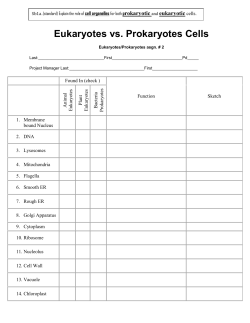 Eukaryotes vs. Prokaryotes Cells