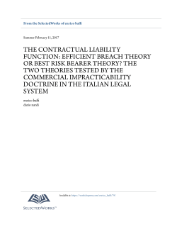 efficient breach theory or best risk bearer theory?