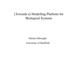 (Towards a) Modelling Platform for Biological Systems